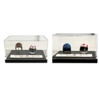 Michel Vaillant Miniature Helmet Duo Complete Collection