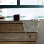 Toiletry Bag in Burgundy & Eggplant